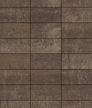 Тротуарная плитка ПРЯМОУГОЛЬНИК - Листопад гладкий Хаски